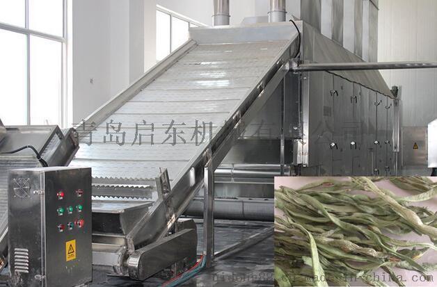 啟東（QD）豆角烘干機 豆角烘干設(shè)備